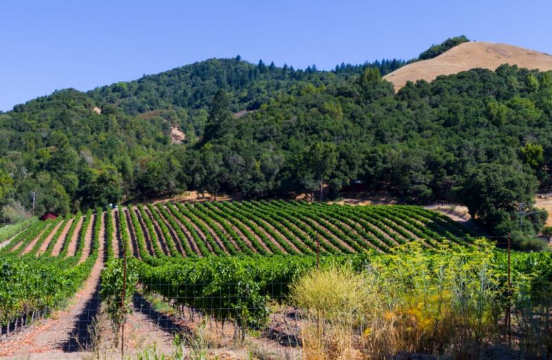 Best Tub To Shower Conversion pros in Wooster, OH