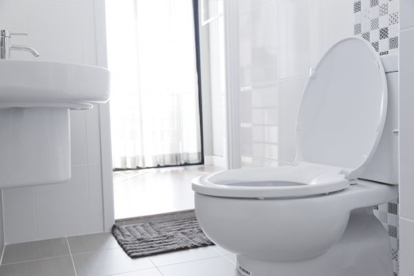 Cost of Toilet Relocation in Medina